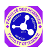 Partenaire Officiel 4